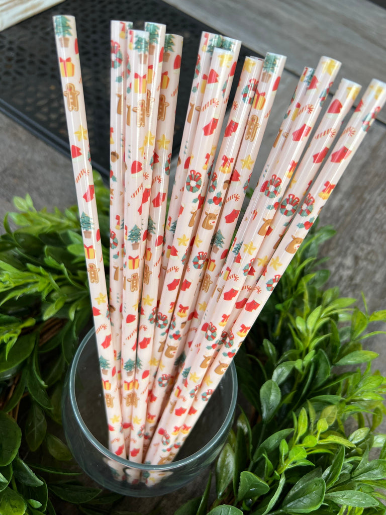 Holiday Cheer Reusable Straws - 9 inches long - Cold Cup Straw- Christmas Straw Holidays Red White Candy Cane Stripe